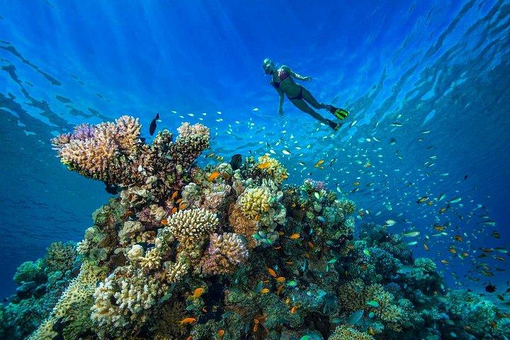 Ilha dos Sonhos de Hurghada