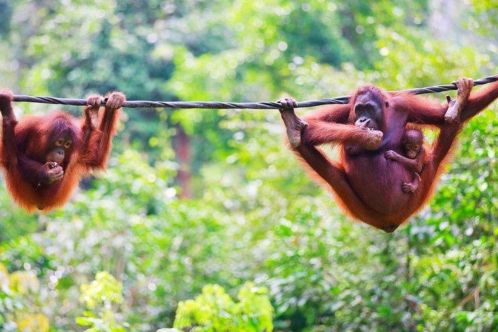 Malaisie : Billet A'famosa Melaka