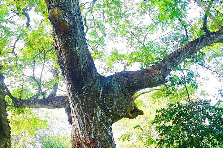 プノンペンバイタルディスカバリー - 1日ツアー（すべてのサービスを含む）