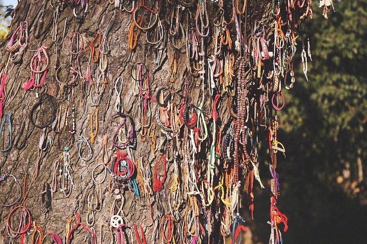 プノンペンバイタルディスカバリー - 1日ツアー（すべてのサービスを含む）