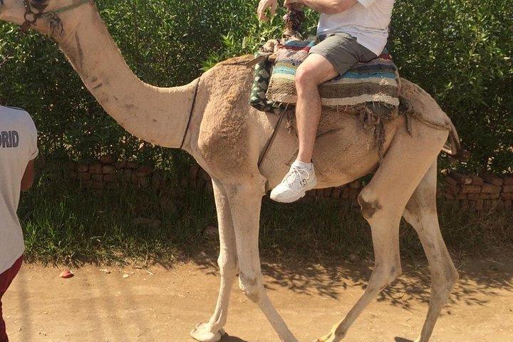 3泊ナイルクルーズルクソール。アスワン＆アブシンベル、寝台車付きカイロからの列車のチケット