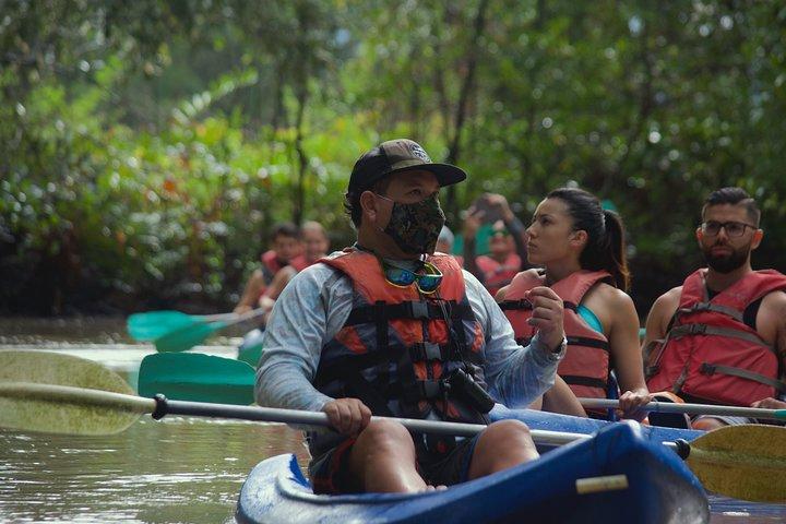 Mangrove-Damas-Insel-Kajak-Touren