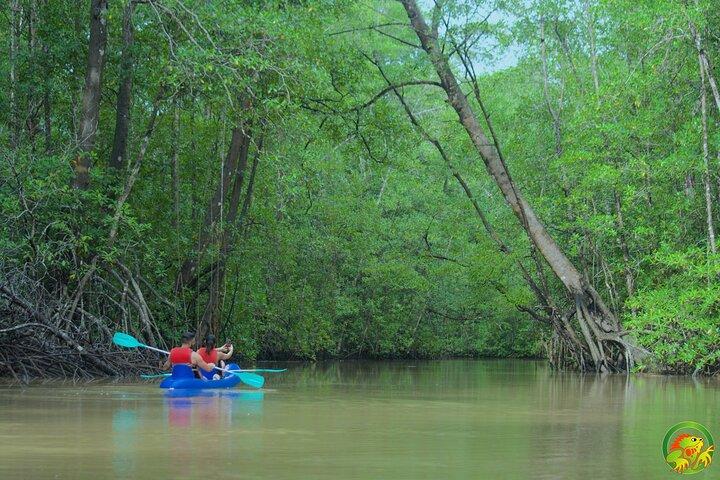 Mangrove-Damas-Insel-Kajak-Touren