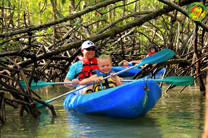 Mangrove-Damas-Insel-Kajak-Touren