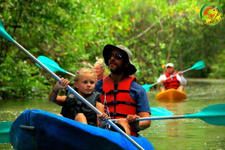 Mangrove-Damas-Insel-Kajak-Touren