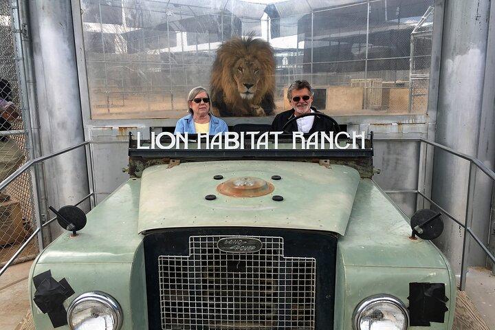Billet d'entrée Lion Habitat Ranch à Las Vegas