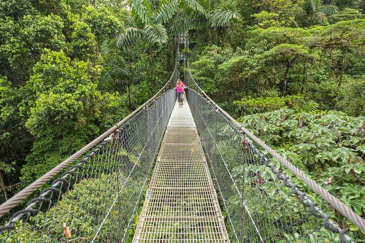 Excursion tyrolienne et ponts suspendus à La Fortuna