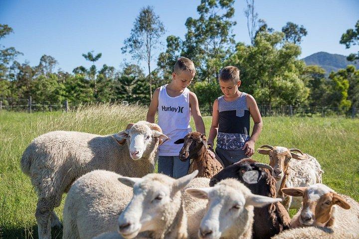 Trevena Glen 2hr Animal Tour