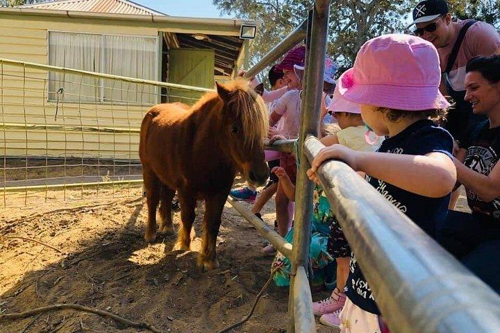 Trevena Glen 2hr Animal Tour