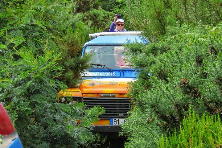 ローカルガイド付きの西マデイラでの1日プライベート4x4ツアー