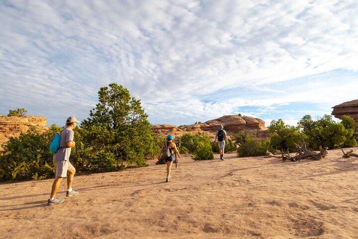 Western National Parks Tour von Las Vegas nach San Francisco