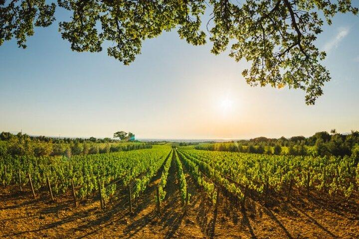 Siena & San Gimignano: Exclusieve Toscane dagtrip vanuit Florence