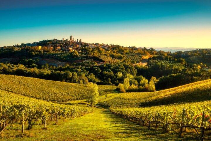 Siena & San Gimignano: Exclusieve Toscane dagtrip vanuit Florence
