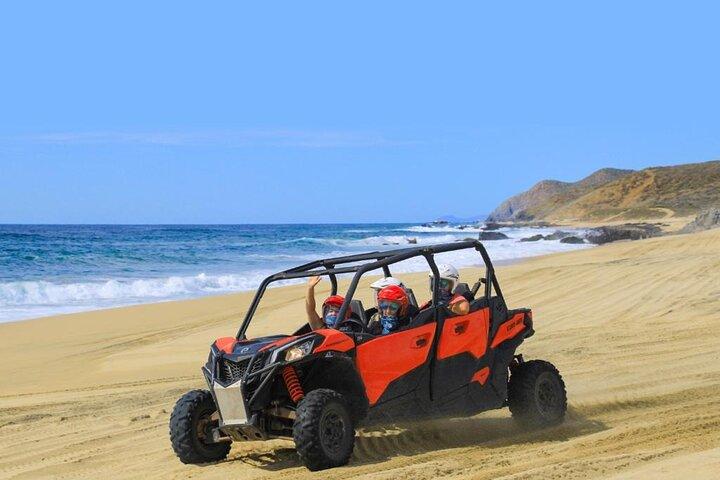 Aventure côte à côte à Cabo