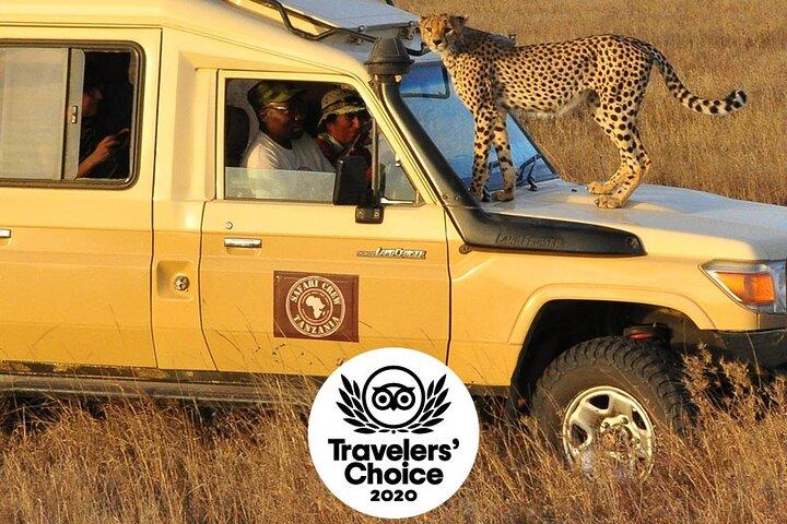 Safari in Tanzania 5 giorni: Manyara, Ngorongoro, Serengeti