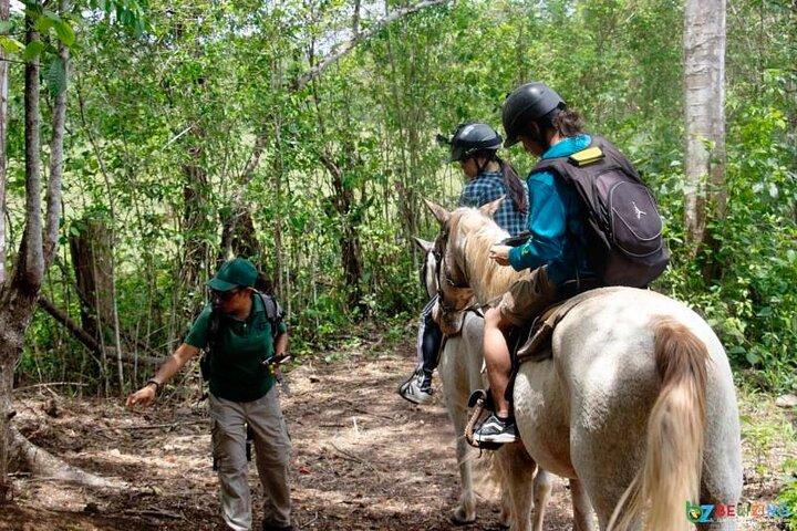Excursion à cheval à Xunantunich