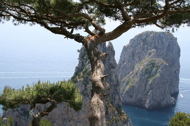 Private Capri Blue Grotto No Stress Tour With Kids From Naples