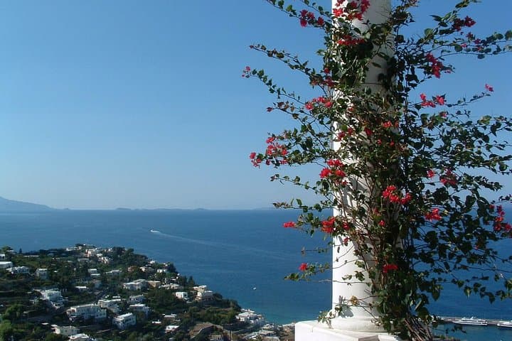 Private Capri Blue Grotto No Stress Tour With Kids From Naples