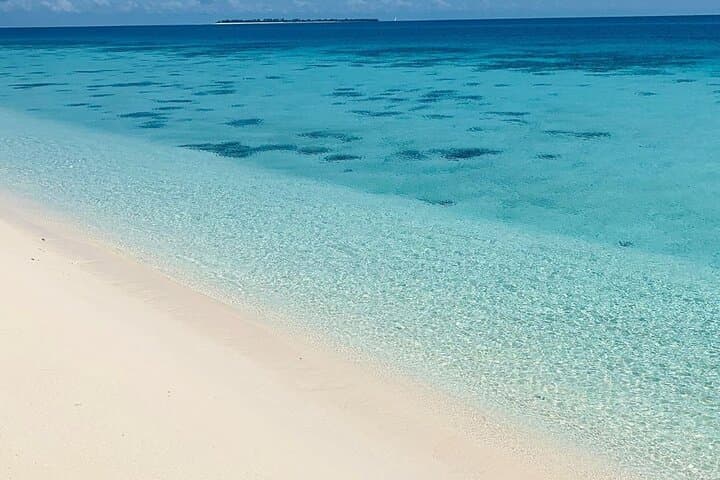 Full-day Prison Island and Nakupenda Sandbank with Lunch buffet