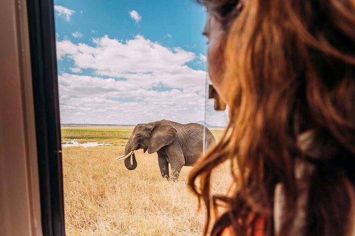 Safari de 3 días Taste of Tanzania (parque nacional Tarangire y cráter Ngorongoro)