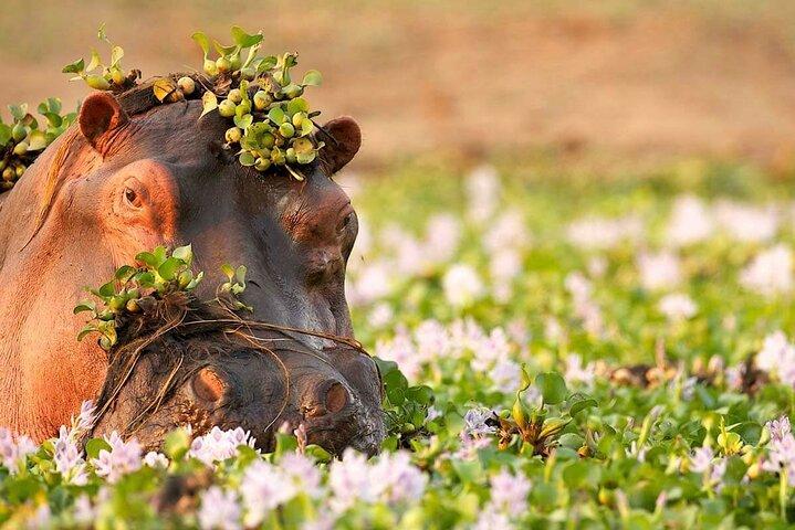 Safari de 3 días Taste of Tanzania (parque nacional Tarangire y cráter Ngorongoro)