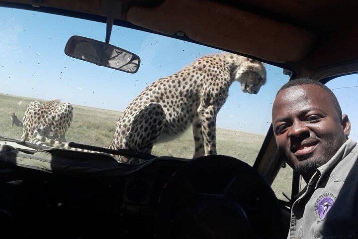 5 dagars Tanzania-grupp som går med i Safari, Tarangire/Serengeti/Ngorongoro-kratern