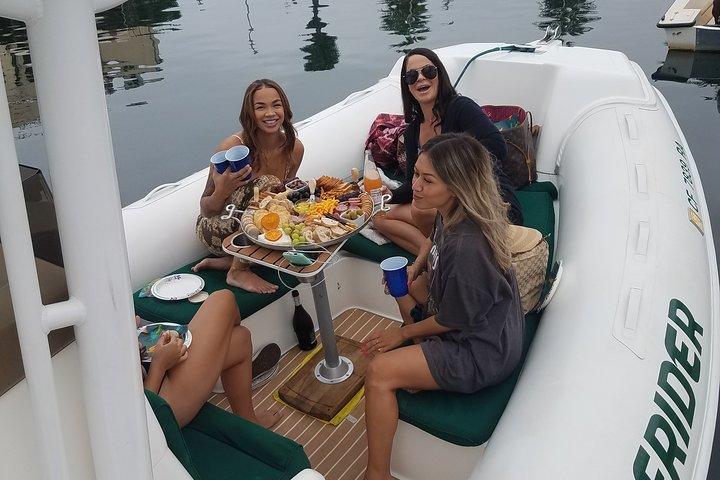 ニューポートビーチでのプライベートイルカとホエールウォッチングツアー