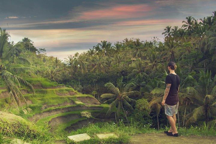 Privat heldagstur på Bali
