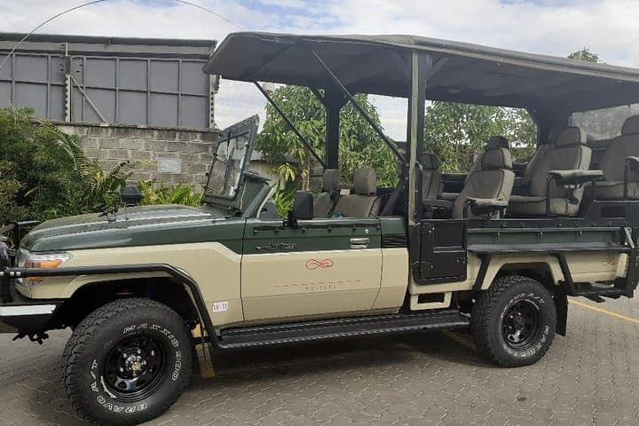 Half-Day Private Tour in Open Jeep at Nairobi Park