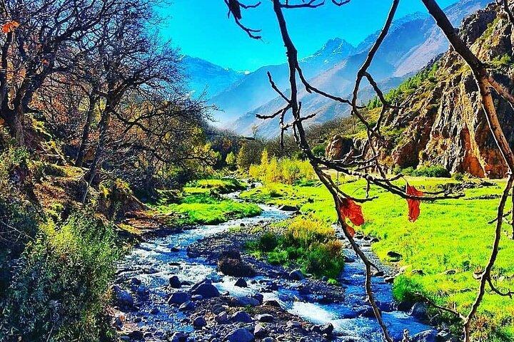 Excursión de un día desde Marrakech a las montañas del Atlas