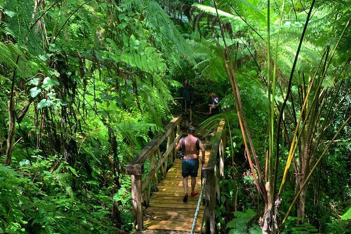 El Yunque National Forest en Luquillo Beach Combo