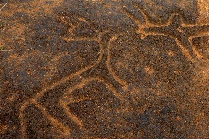 考古学者またはローカルガイドとの古代ゴアツアー
