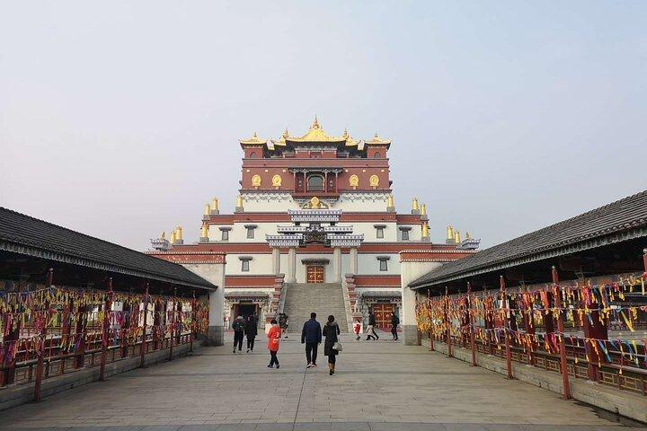 Privat dagstur til Wuxi Lingshan Grand Buddha og Taihu Lake fra Shanghai