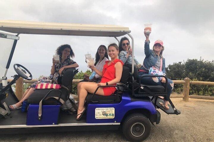 Catalina Island privat guidad golf varukorgen Tour of Avalon
