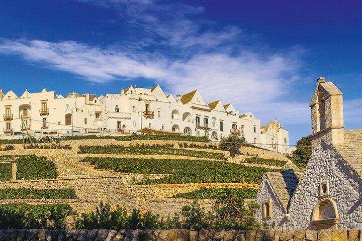 Excursion d'une journée à la Vallée d'Itria Cisternino Alberobello et Polignano a Mare