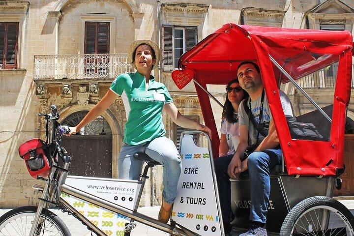 Full-dag Salento vin og mad tur