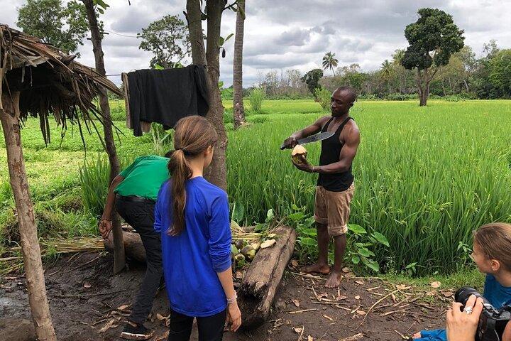 Boek een dagwandeling in het Rau Forest Reserve, vlakbij de stad Moshi in Tanzania