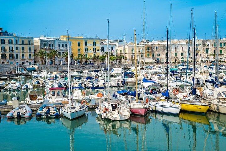 Trani, Weinprobe und Castel Del Monte Tour von Bari oder Ostuni