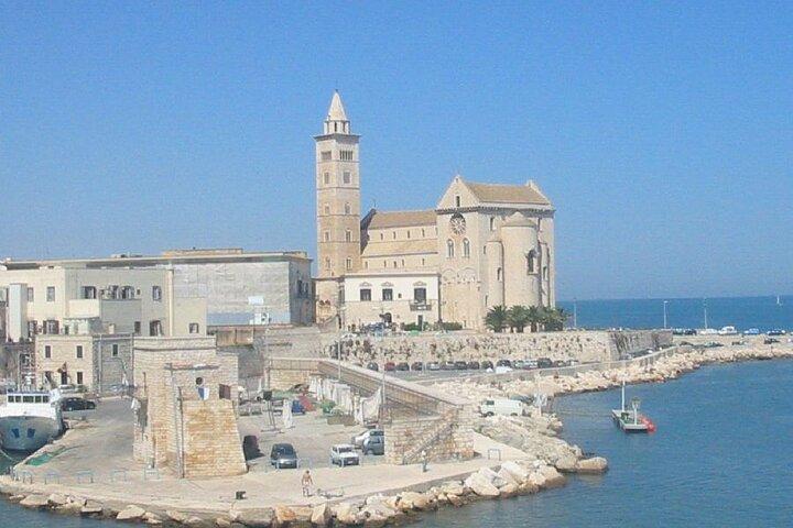 Trani, Weinprobe und Castel Del Monte Tour von Bari oder Ostuni