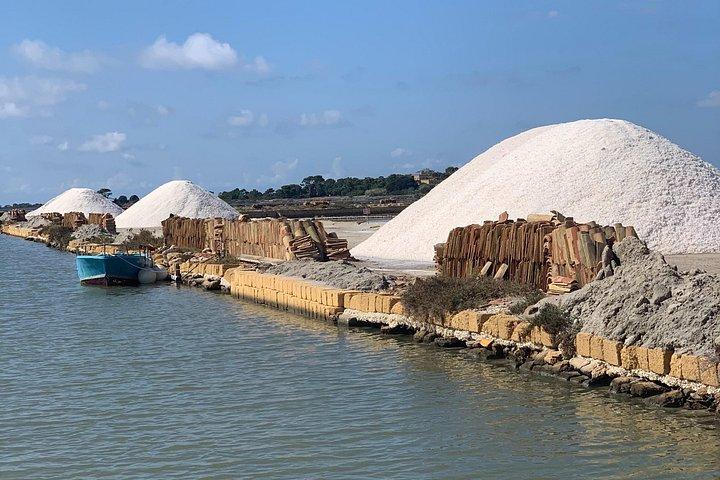 セジェスタ、エリチェ、サリーナディマルサラ、パレルモからのモーゾ島のプライベートツアー