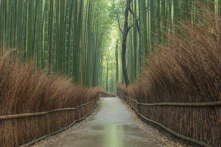 10 lieux incontournables de Kyoto Visite privée d'une journée