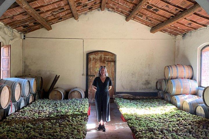Chianti and San Gimignano - 2 Wineries with Pairing Lunch