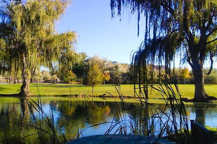 Begeleide tour van een halve dag Scenic Adventure & Wine Tasting Tour