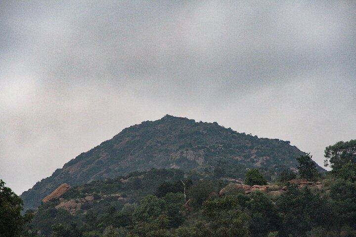 Gita di un giorno al Tempio di Tiruvannamalai e Sri Ramana Ashram da Pondicherry con pranzo