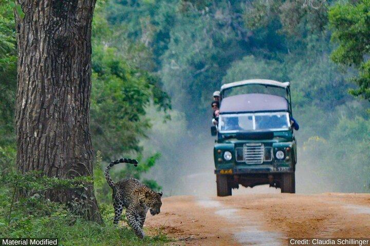 Sri Lanka: tout voir et tout découvrir en 10 jours, visites personnalisées de 1ère classe