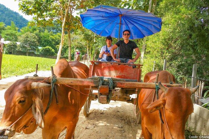 Norte y centro de Tailandia: Véalo TODO en 12 días, tours de primera clase