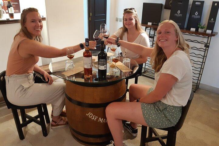 Visite privée des vins d'Azeitão / Palmela / Setúbal