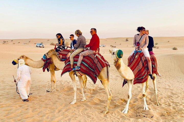 Mattina Red Dune Safari con Camel Trekking e imbarco sulla sabbia