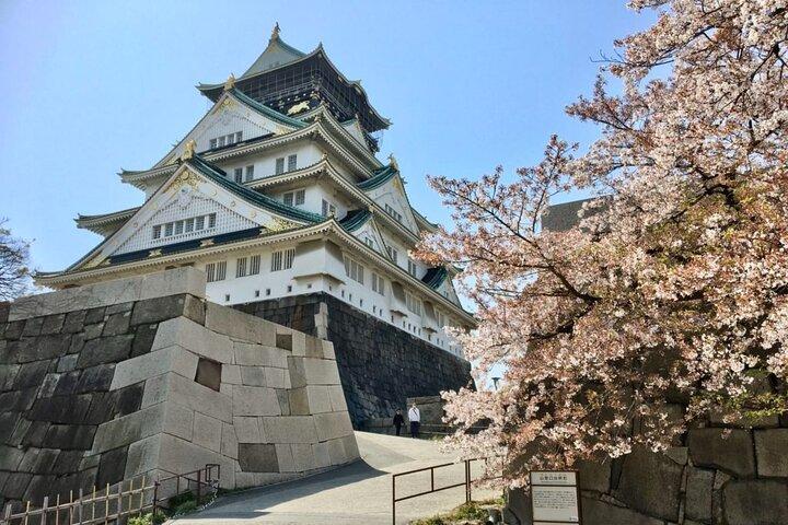 Visite guidée privée de trois Heures du château d'Osaka