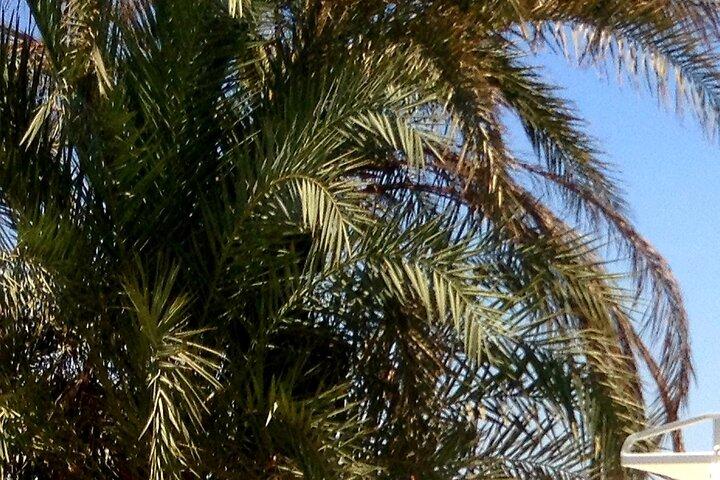 Trasporto privato per Hurghada da Luxor